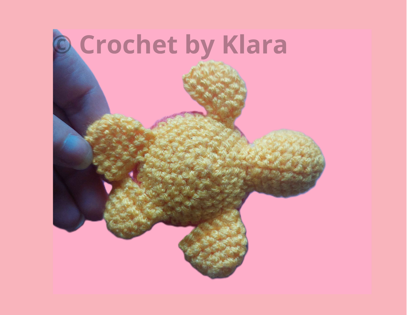 2 mini želvica